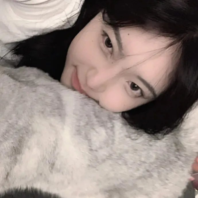 足球灵灵狗：进军欧洲杯